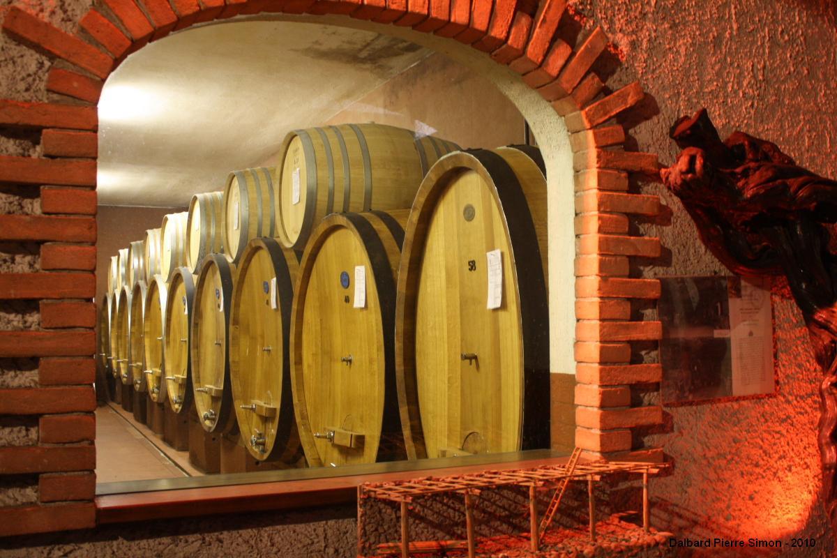 cantina_01