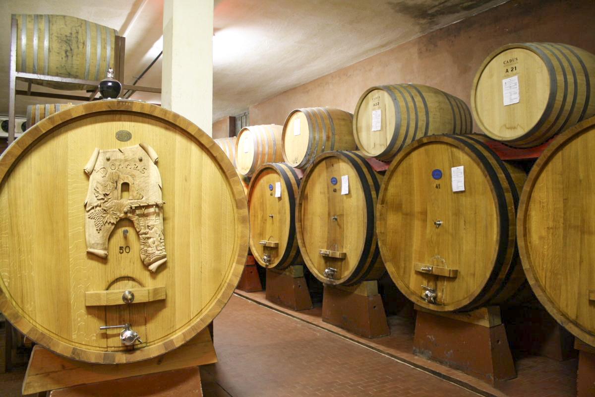 cantina_03