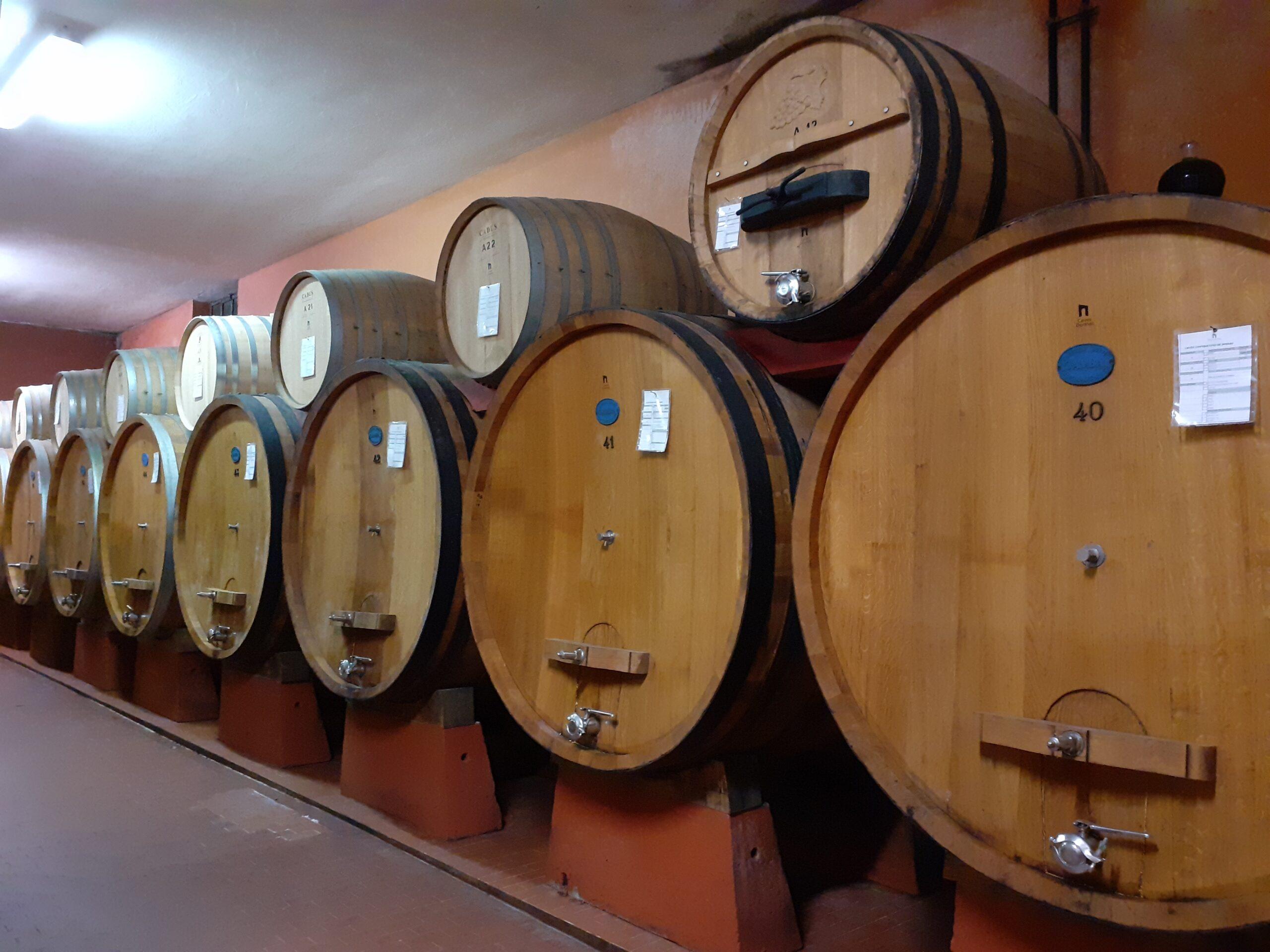 cantina_04