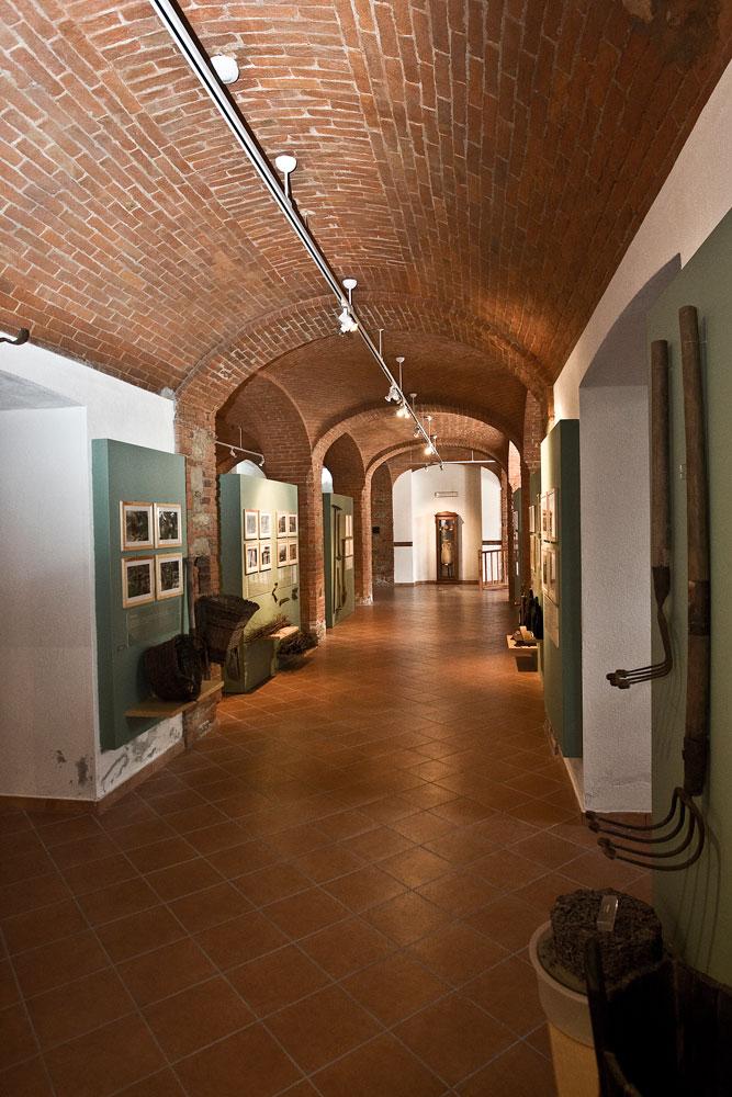 ecomuseo_vino_03
