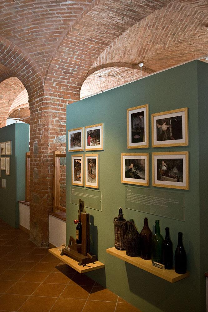 ecomuseo_vino_04