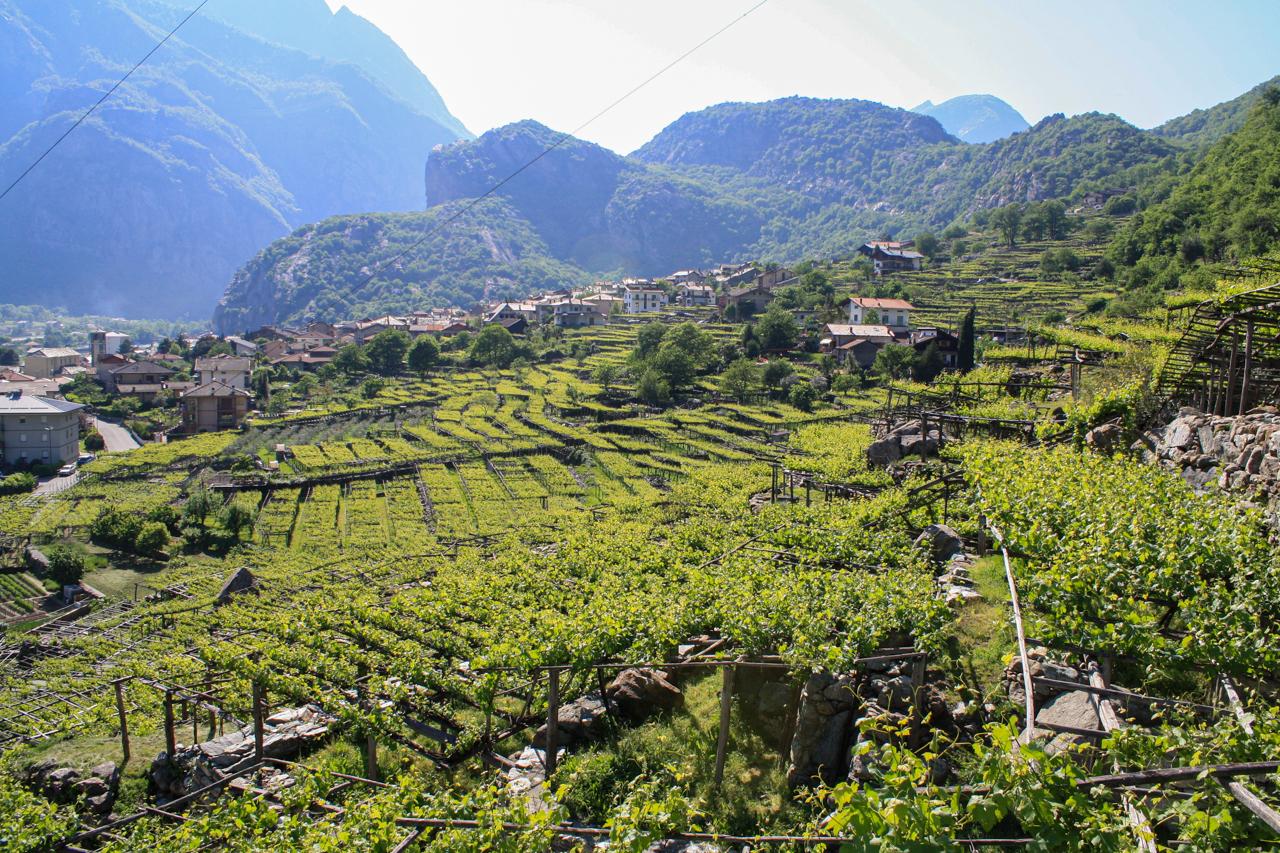 territorio_03
