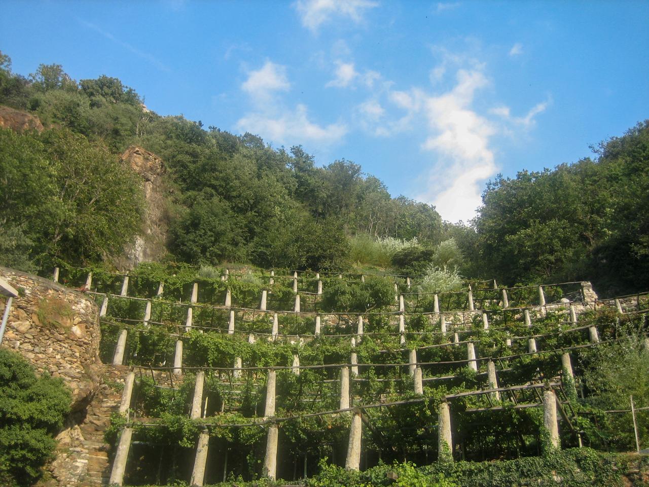 territorio_09